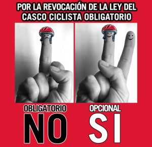 REVOCACION ley casco